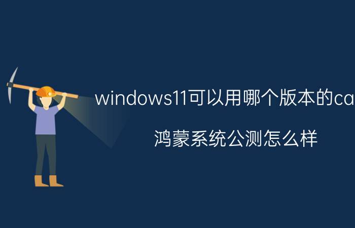 windows11可以用哪个版本的catia 鸿蒙系统公测怎么样？